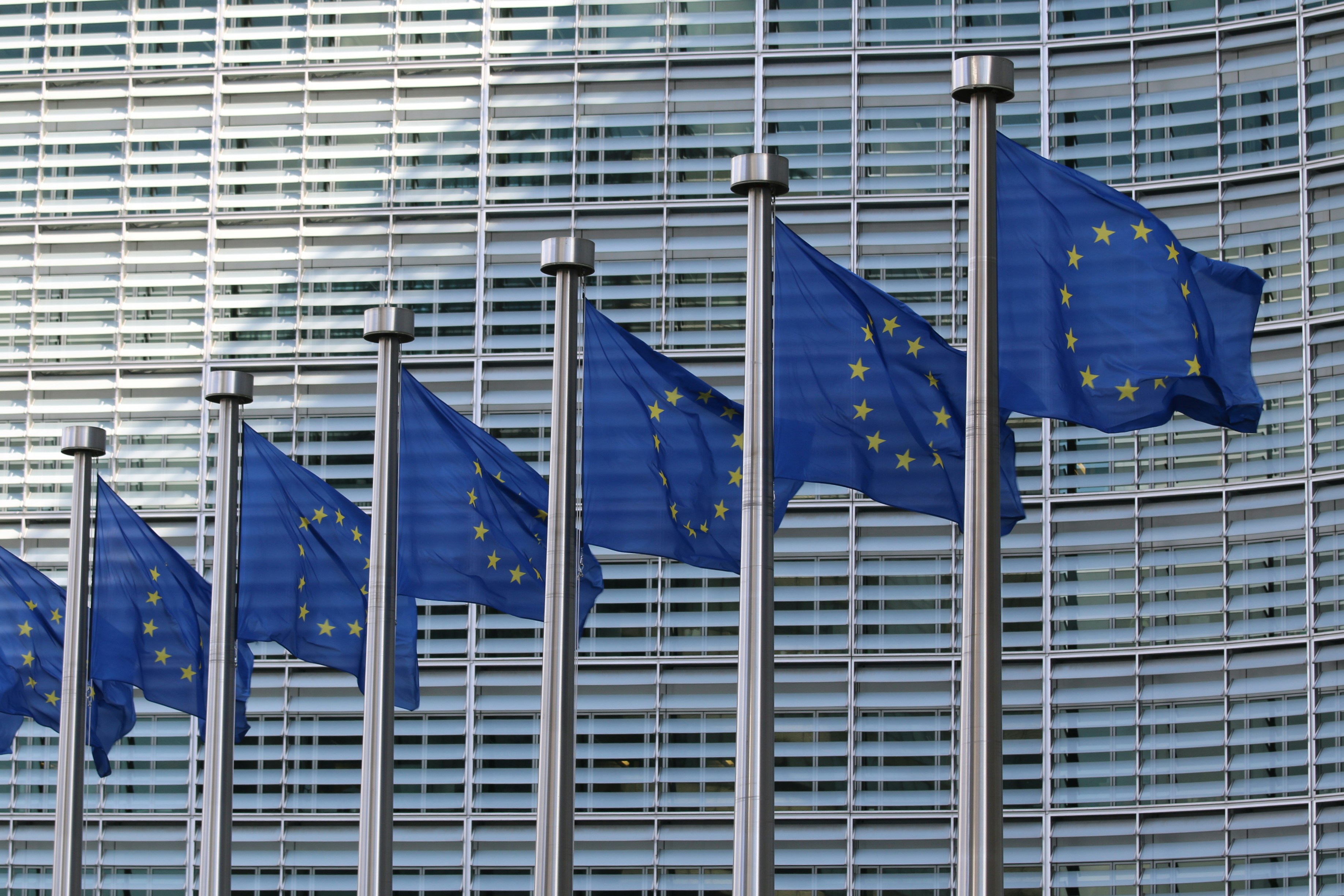 The AI Act Omnibus creates uncertainty. Here's what companies can do